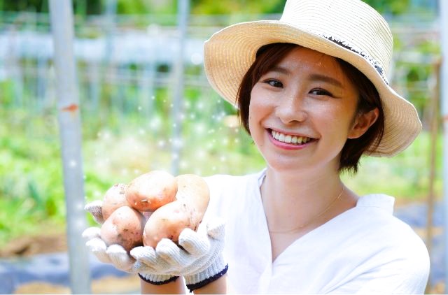 新じゃがを収穫する女性